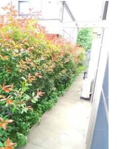 物件内観写真14　