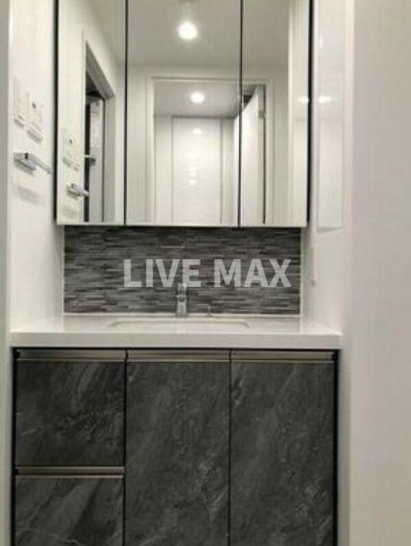 洗面・脱衣所(※別号室参考写真)