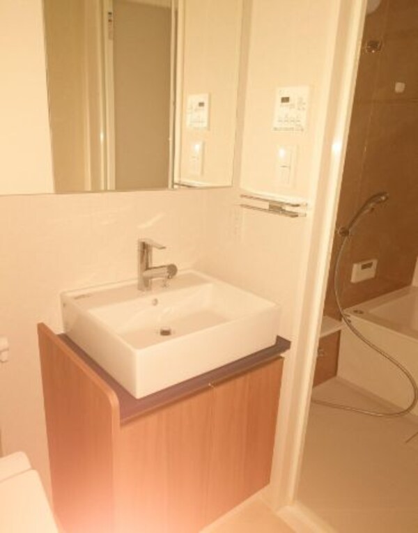 洗面・脱衣所(別号室参考写真)