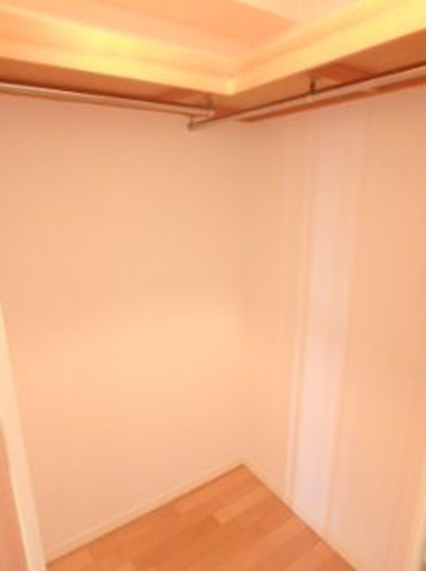その他(ウォークインクローゼット)