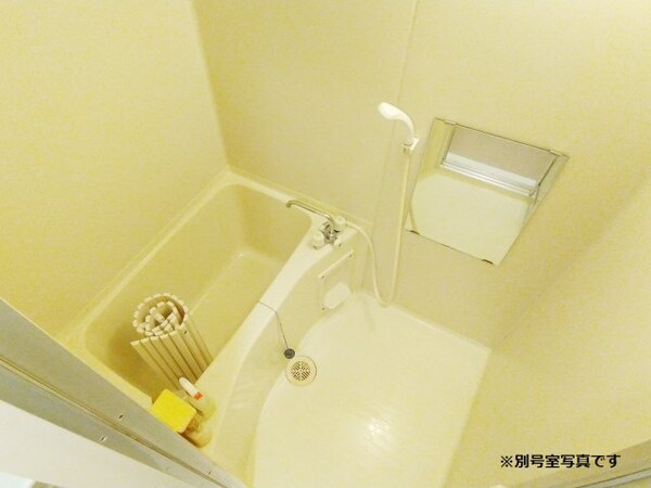 内装他