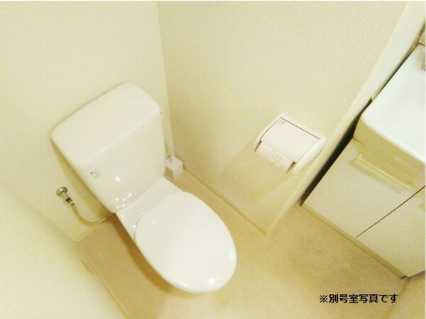 内装他