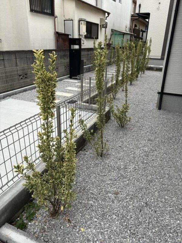 庭