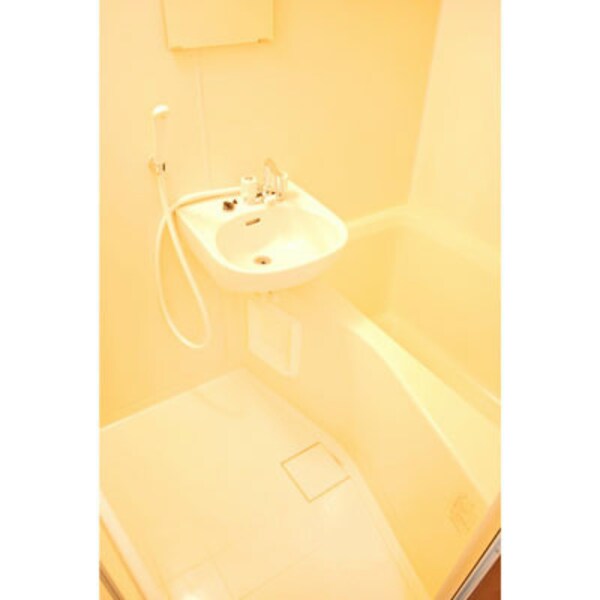 洗面・脱衣所(別号室参考写真)