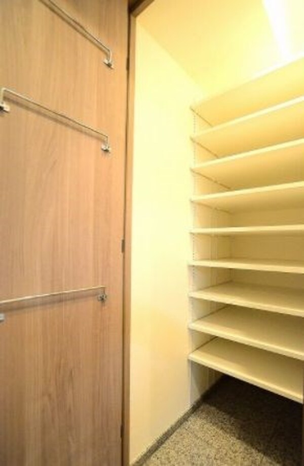 収納(※カラータイプ異なります)