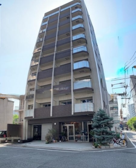Lion平和大通（旧：LiveFlat平和大通り）外観写真