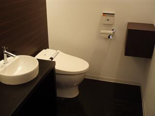 物件内観写真11　(※同物件参考写真です)