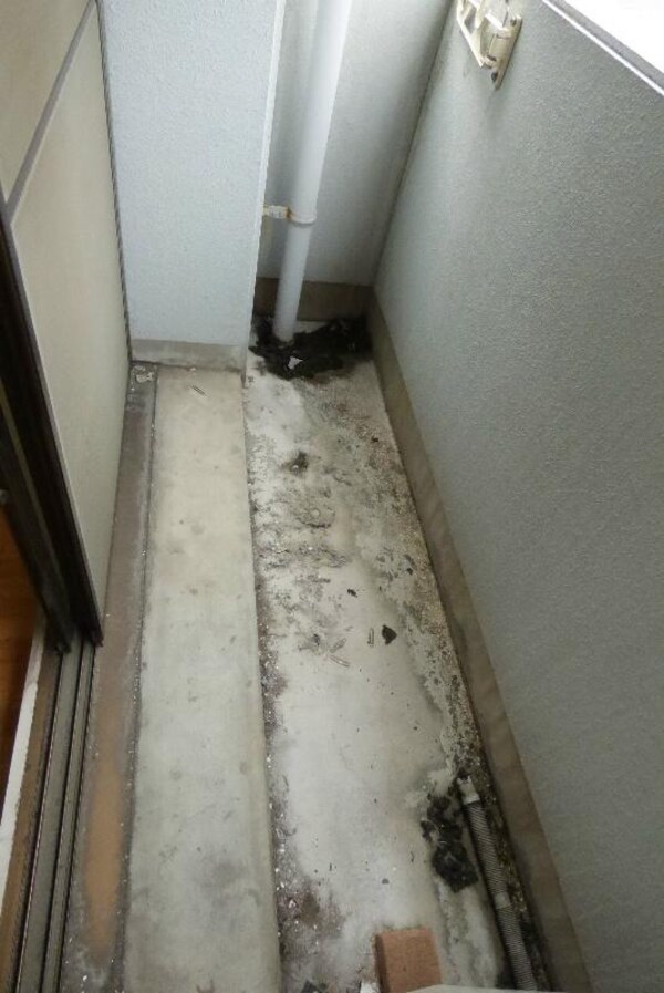 バルコニー(※同物件別部屋参考写真)