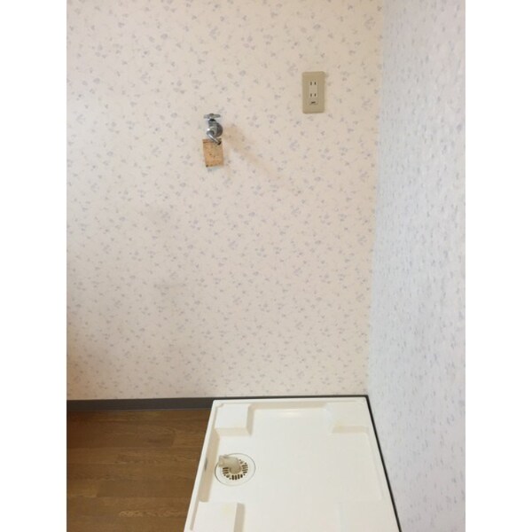 その他(参考写真)