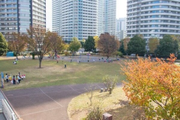 周辺環境(高島中央公園 254m)