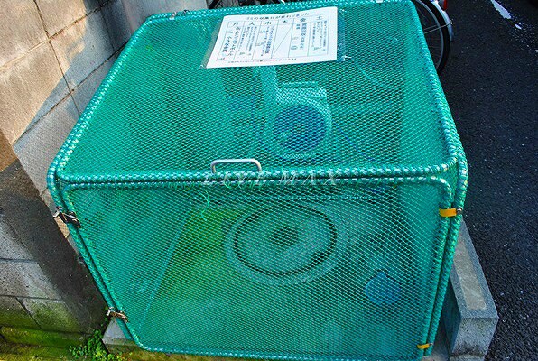 物件内観写真19　(◇◆リブマックスなら仲介手数料賃料の半月分！)