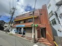 Ｐａｕｌｏｗｎｉａ　Ｖａｌｌｅｙ　ｔａｋｅ１１山手