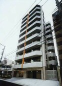 HAYMAN YOKOHAMA