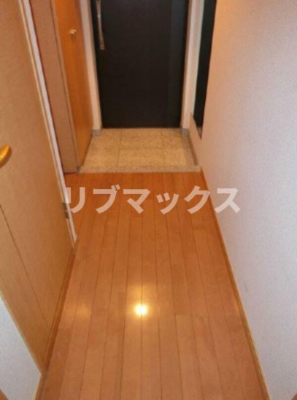 玄関(同タイプ別住戸)