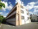 セリバルT・S