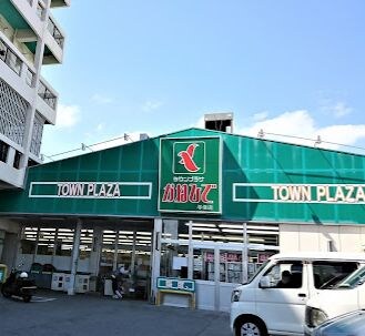 物件外観写真3　(タウンプラザ与儀店（513m）)