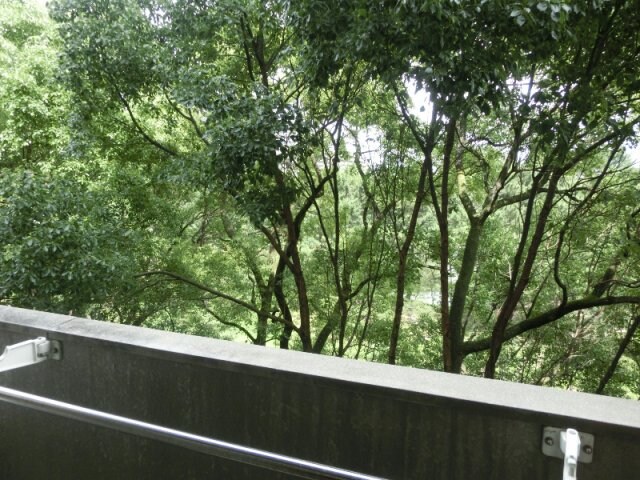 物件内観写真13　(眺望（縮景園側）☆)