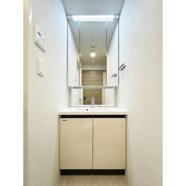 独立洗面台(※同じ間取り別号室参考写真
　現状優先)