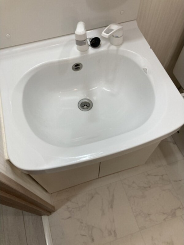 洗面・脱衣所(※同じ間取り別号室参考写真)