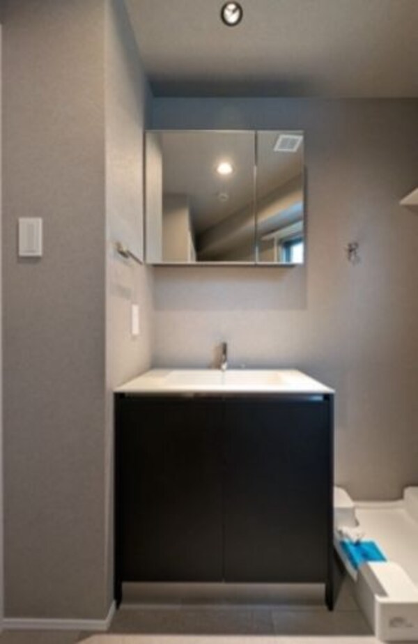 洗面・脱衣所(別号室参考写真)