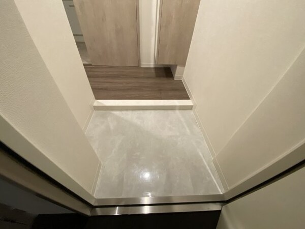 玄関(※同じ間取り別号室参考写真
　現状優先)