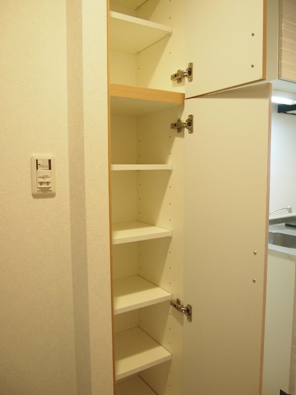 収納(～仲介手数料は賃料の半月分+税～ウォークインクローゼット付・)