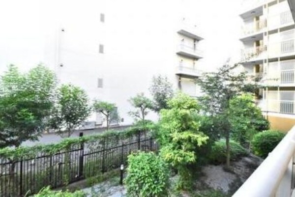 眺望(別号室参考写真)