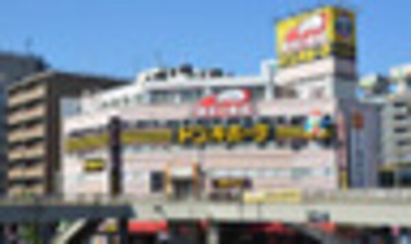 周辺環境(ドン・キホーテ 亀戸駅前店 1119m)