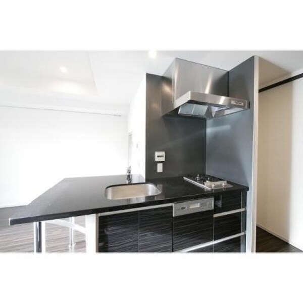 キッチン(別号室参考写真)