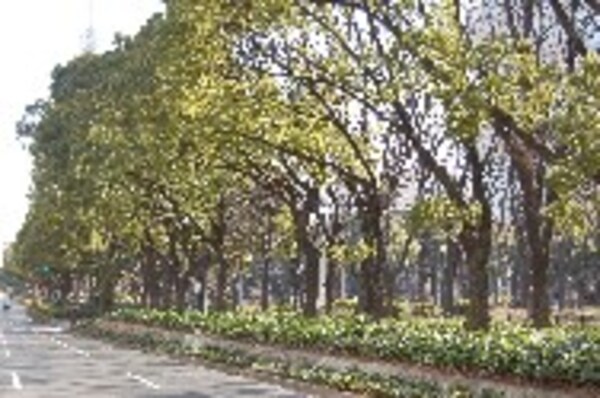 周辺環境(久屋大通公園（73m）)