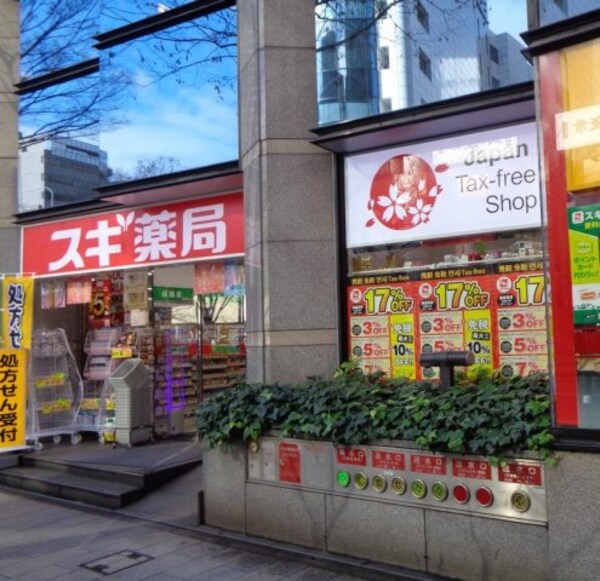 周辺環境(スギドラッグ 柳橋店（195m）)