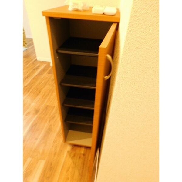 物件内観写真7　(シューズボックス)