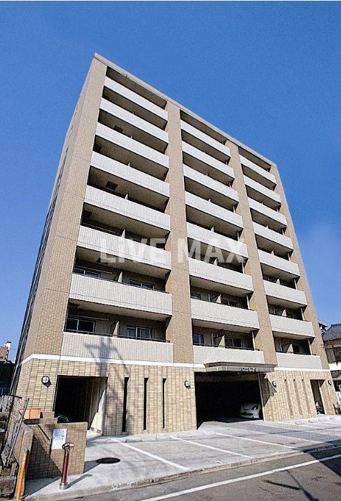 willDo金山正木