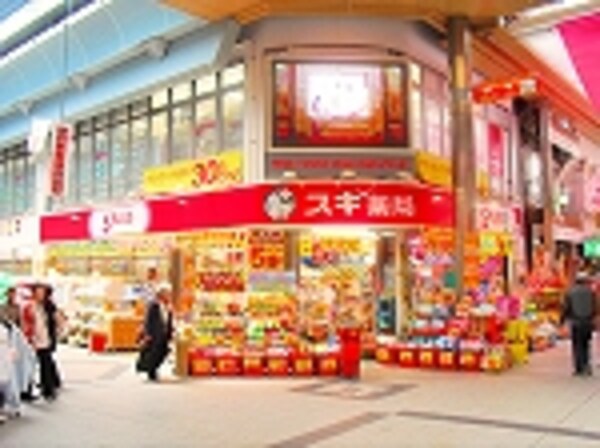 周辺環境(北野エｰス ラシック店（790m）)