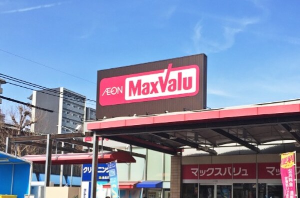 周辺環境(マックスバリュ千代田店（803m）)
