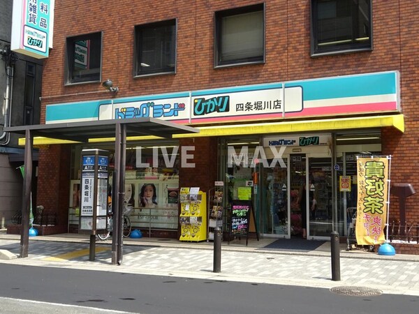 周辺環境(ドラッグランドひかり 四条堀川店（219m）)