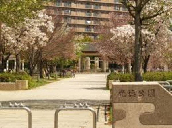 周辺環境(光徳公園（411m）)