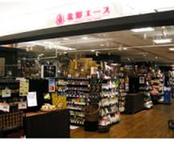 周辺環境(北野エｰス 京都店（597m）)