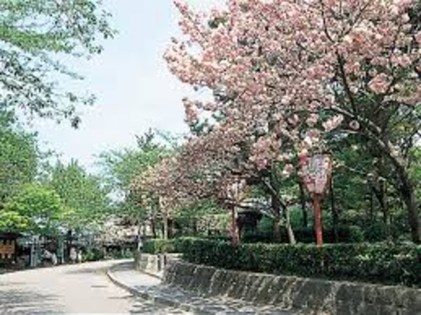 周辺環境(円山公園（463m）)