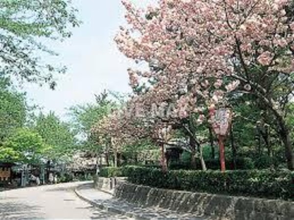 周辺環境(円山公園（463m）)