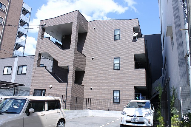 アンプルールフェールSHIBATA