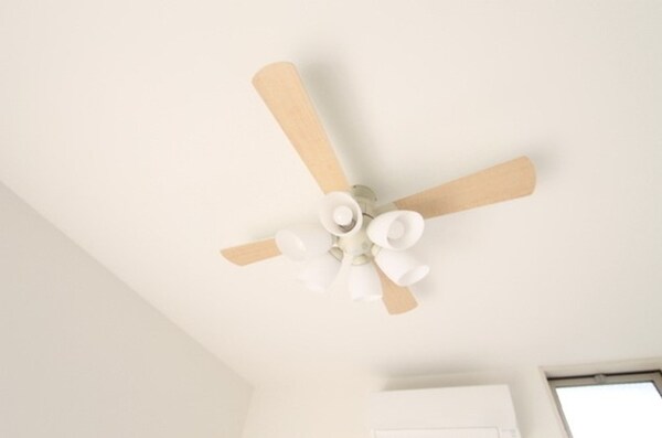 建物設備(※同じシリーズの室内写真)