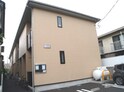 アムールモントル
