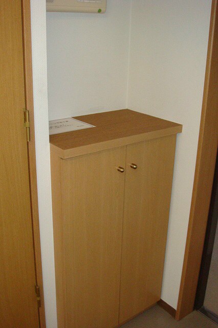 物件内観写真26　(シューズボックス)