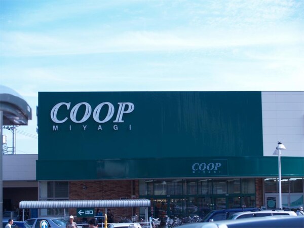 周辺環境(COOP MIYAGI（みやぎ生協） 榴岡店（350m）)