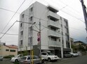 ステラ神宮外苑