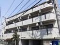 シャトレー・ツカサ