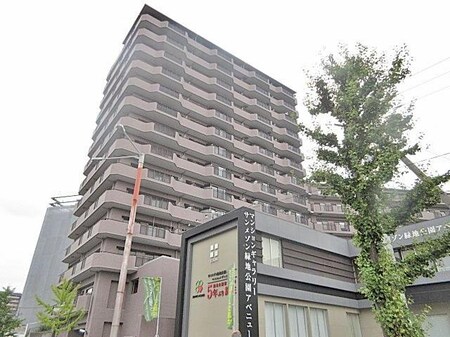 パインフィールド緑地公園外観写真