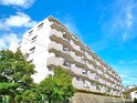 ハイロイヤル緑地公園パート2