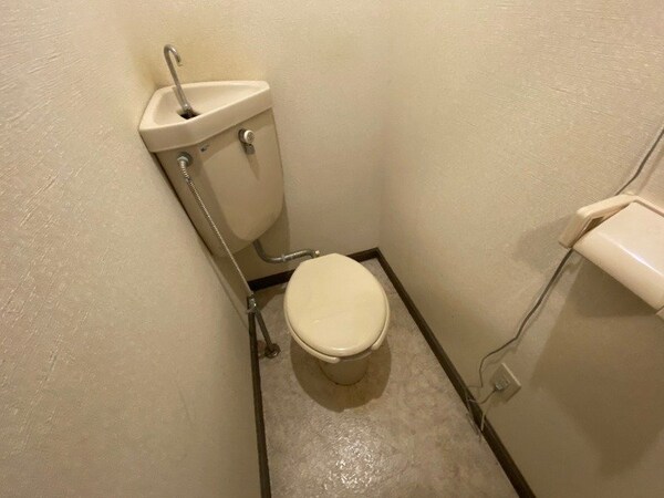 トイレ(清潔感があり安心して使用できるトイレになっておりました。)